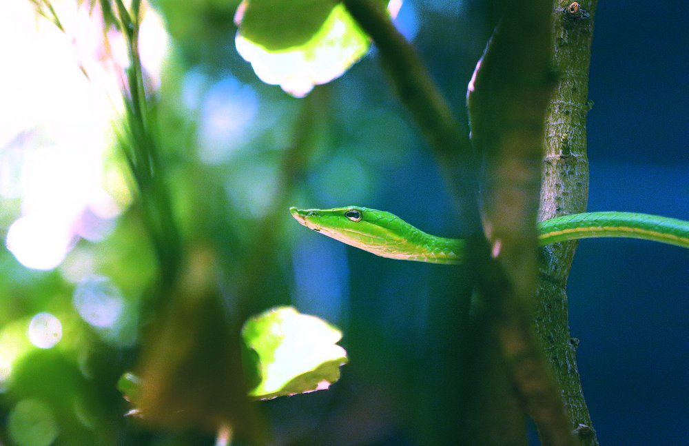 Фотография автора Мукеш Шарма