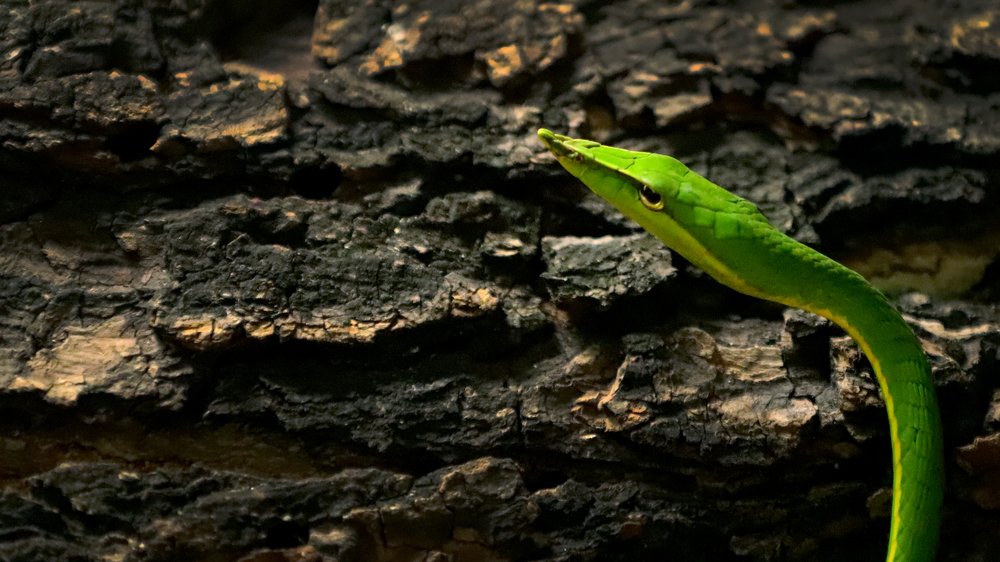 Фотография автора Мукеш Шарма