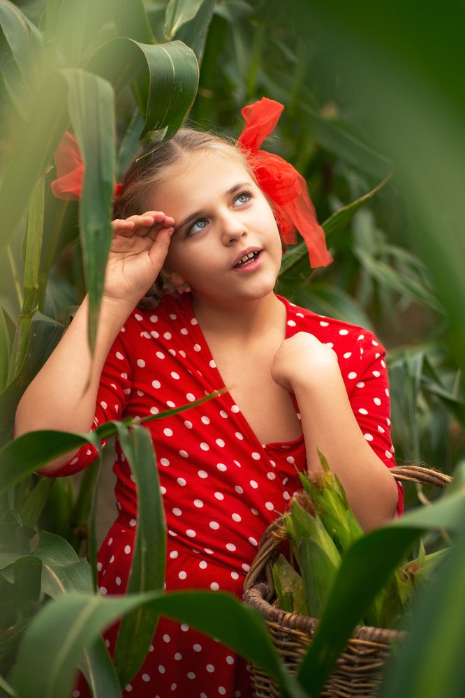 Photograph by Мария Немолот