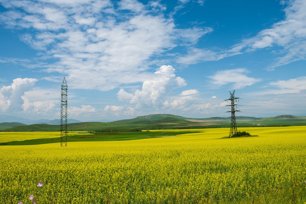 Photograph by Галина Канеева