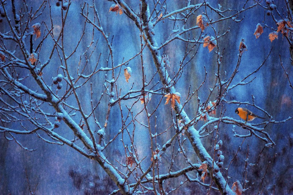 Photograph by Юрий Кружнов