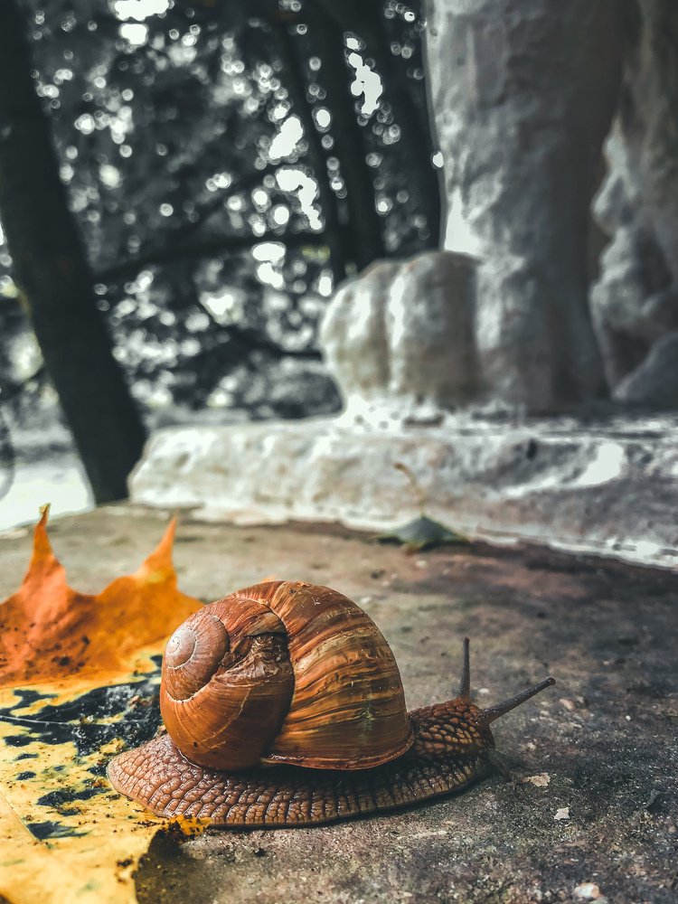 Photograph by Сергей Фаренюк