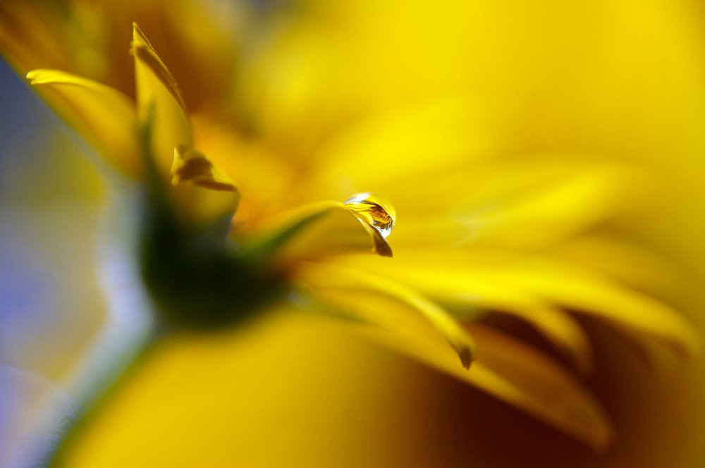 Photograph by Ольга Аристова