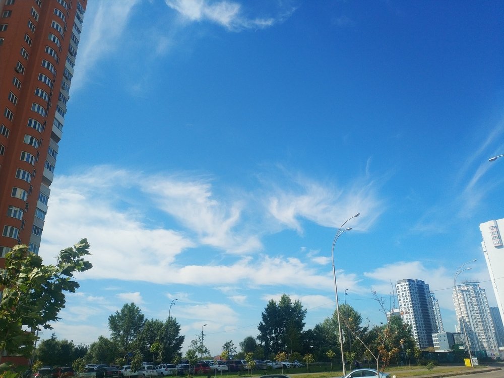 Photo #3613243
