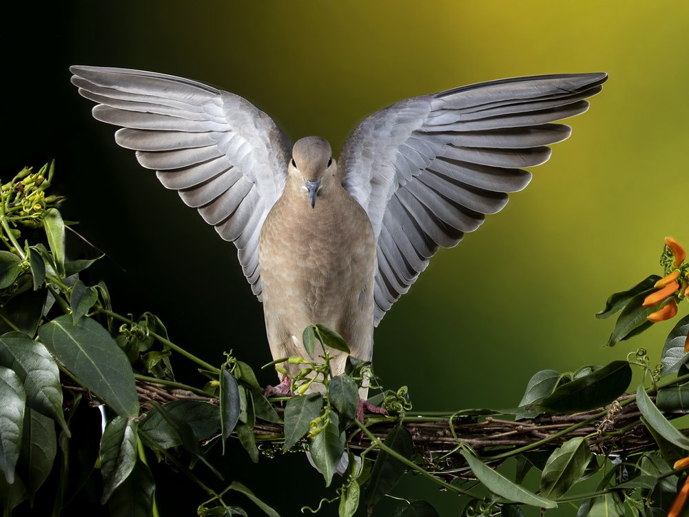 Photograph by Esteban Argerich