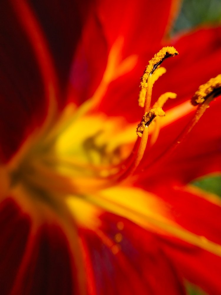 Photograph by Яна Прокофьева