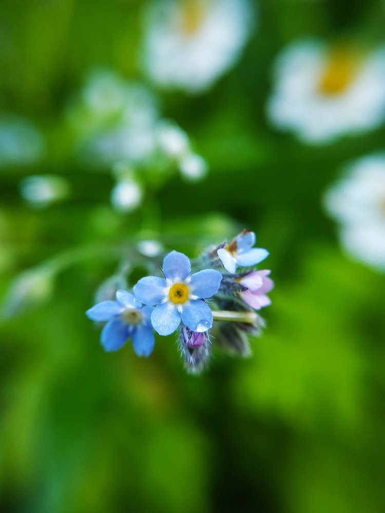 Photograph by Яна Прокофьева