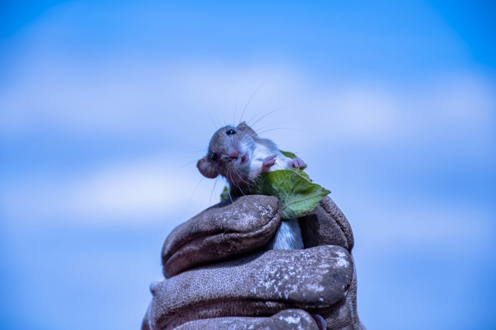 Photograph by Елена Прохорова