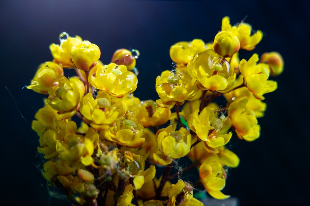 Photograph by Evgeniia Iakimenko