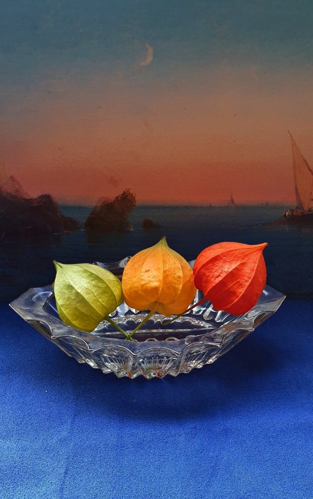 Photograph by Александр Соколов