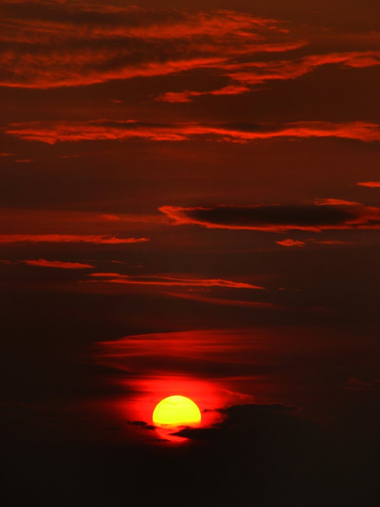 Photograph by Волгина Елена