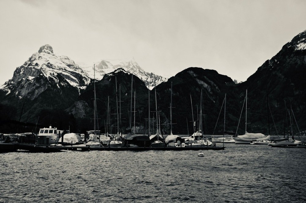 Фотография автора Алиса Дресвянникова