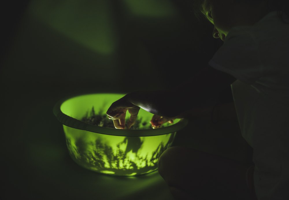 Пальчиковые игры