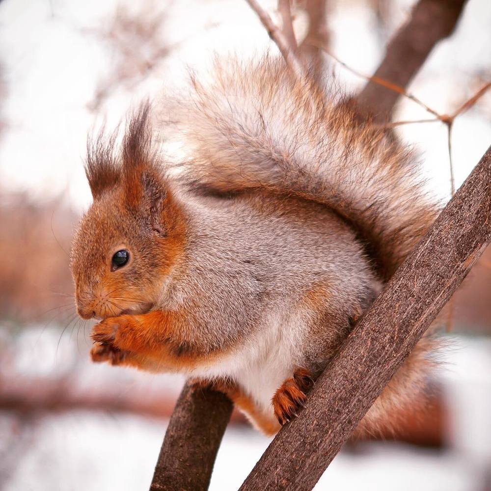 Photograph by alexlip