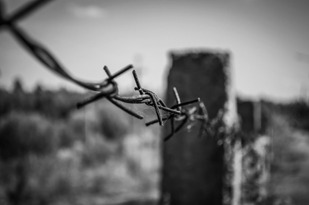 Barbed rusty wire in the web.