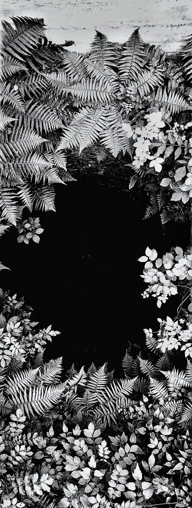 Photograph by Nazar Dolbilov