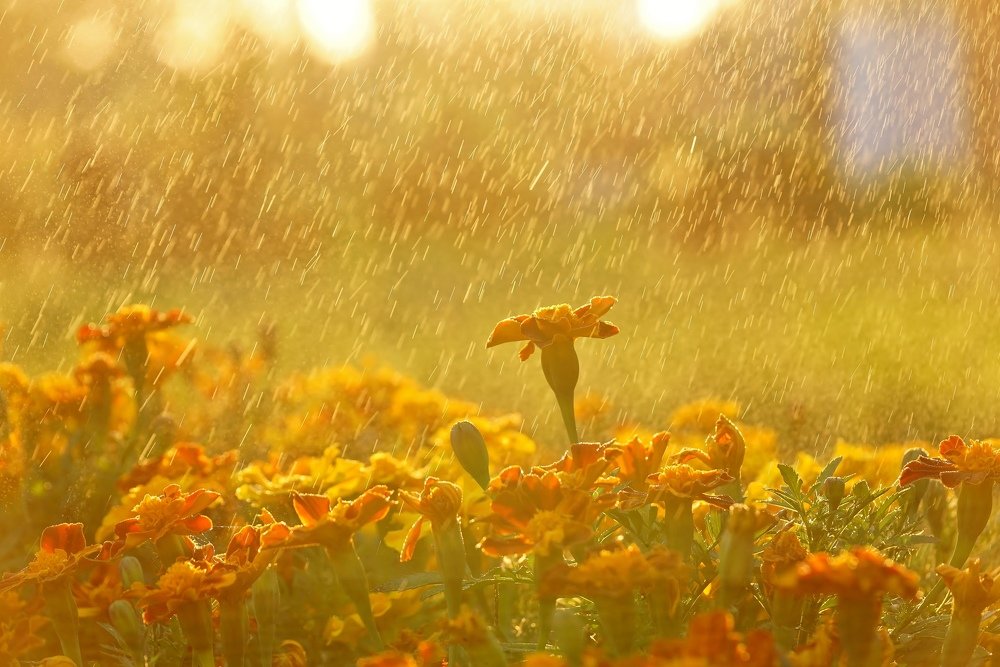 Photograph by Александр Попов