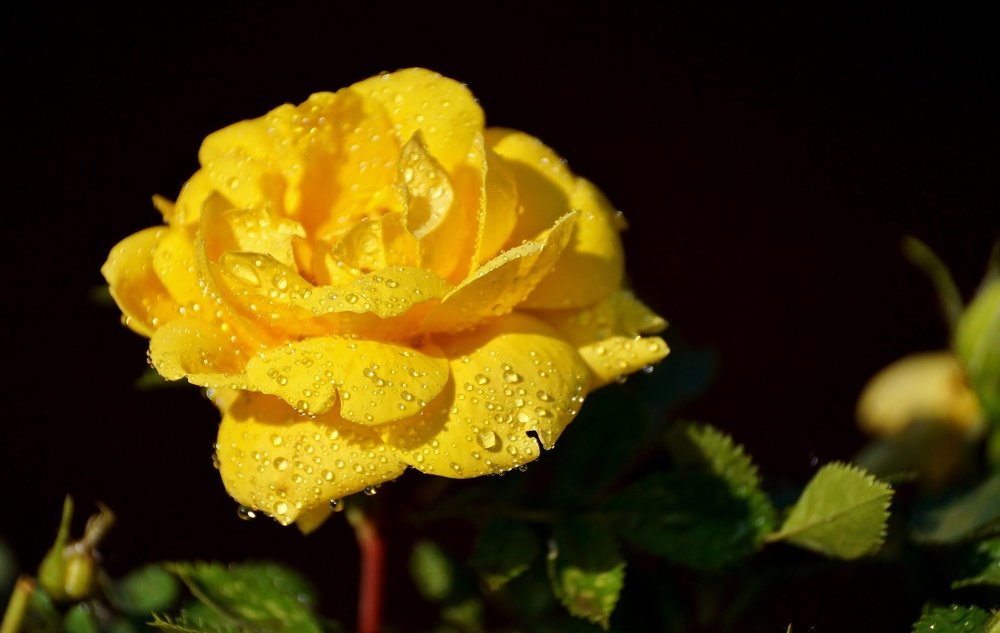 Photograph by Александр Попов