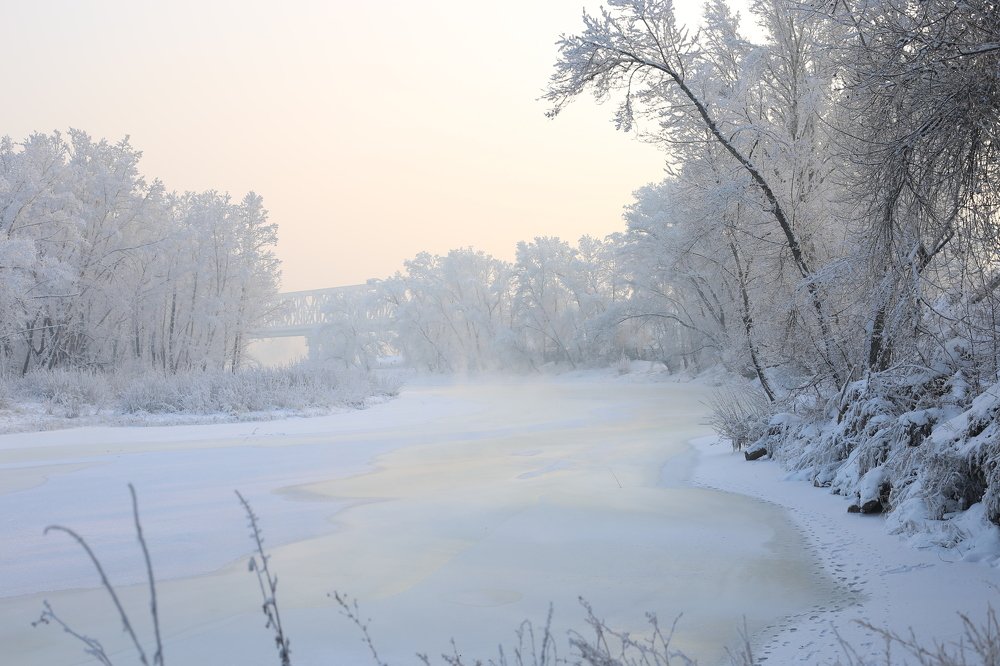 Фотография автора Шутенкова Евгения