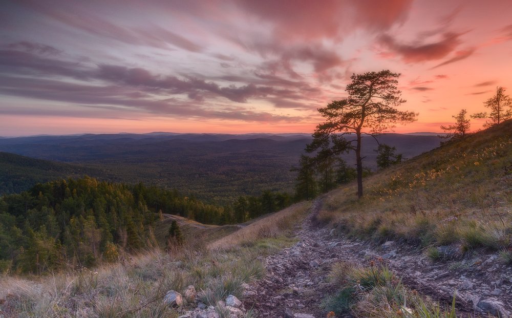 Photograph by Дмитрий Жучков