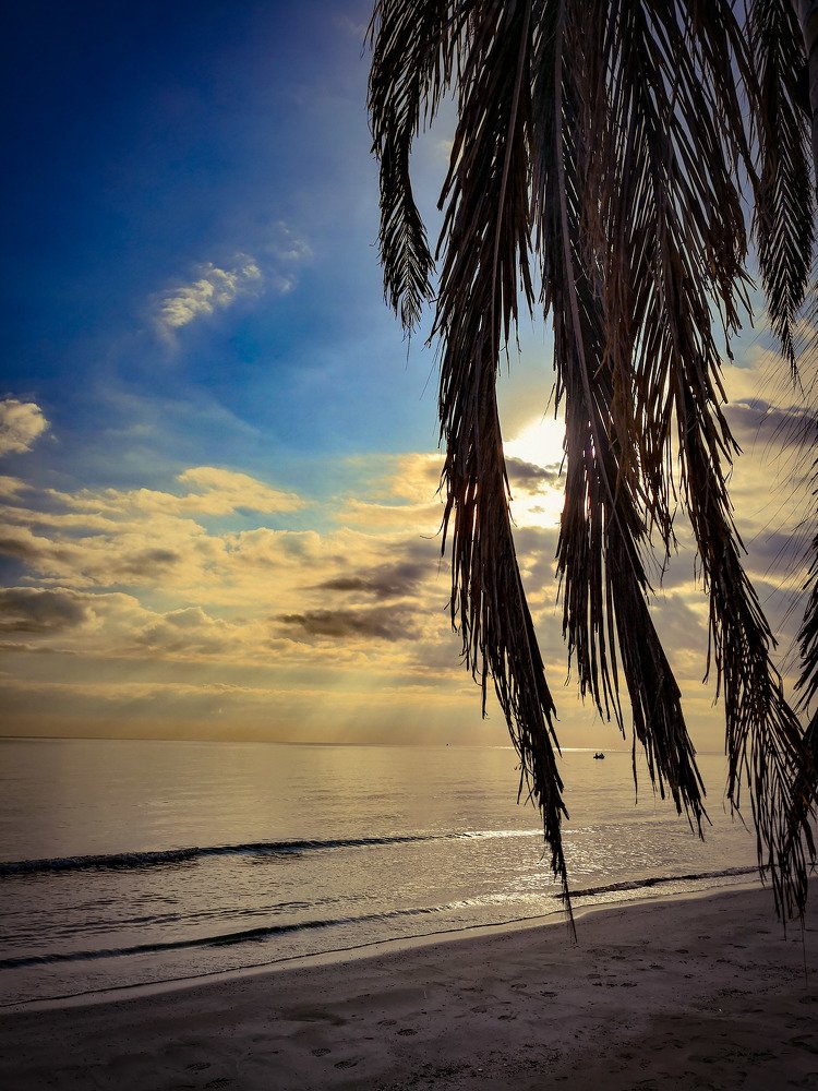 Sunrise is a best part of day