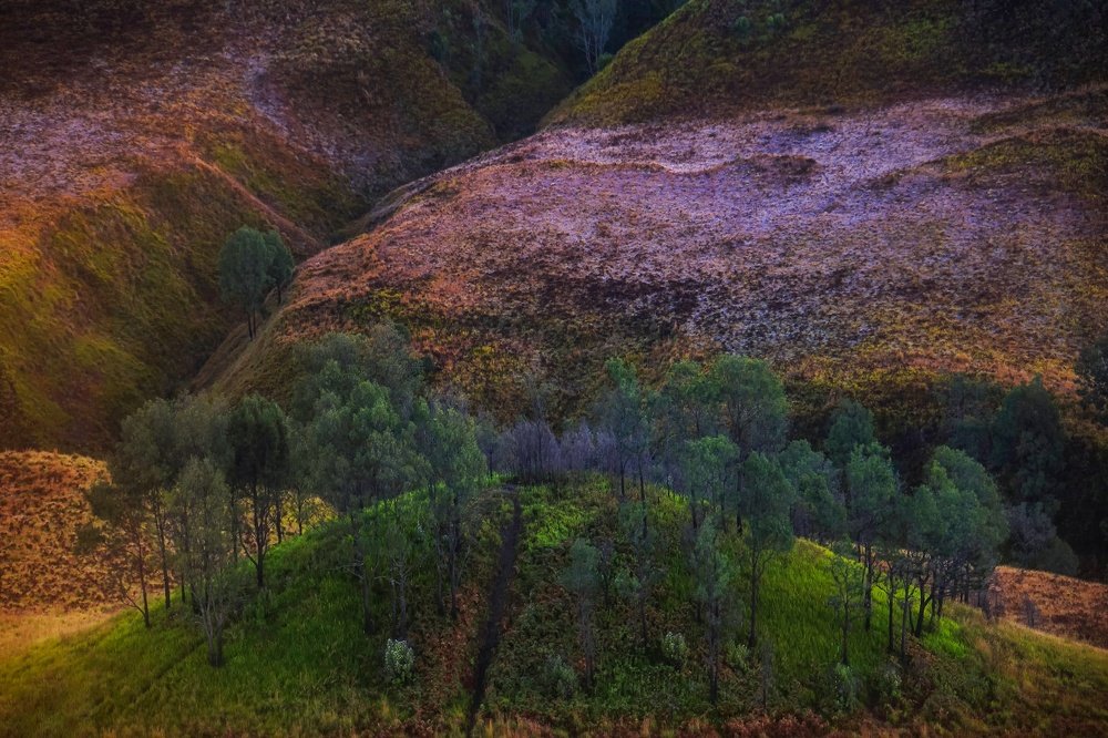 Photograph by Rudianto