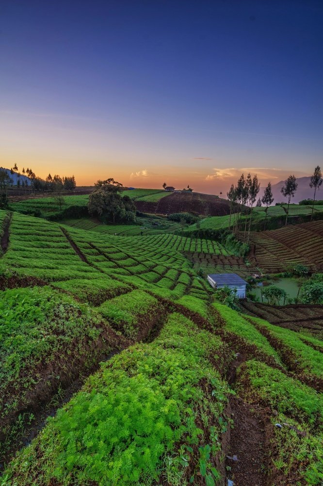 Photograph by Rudianto