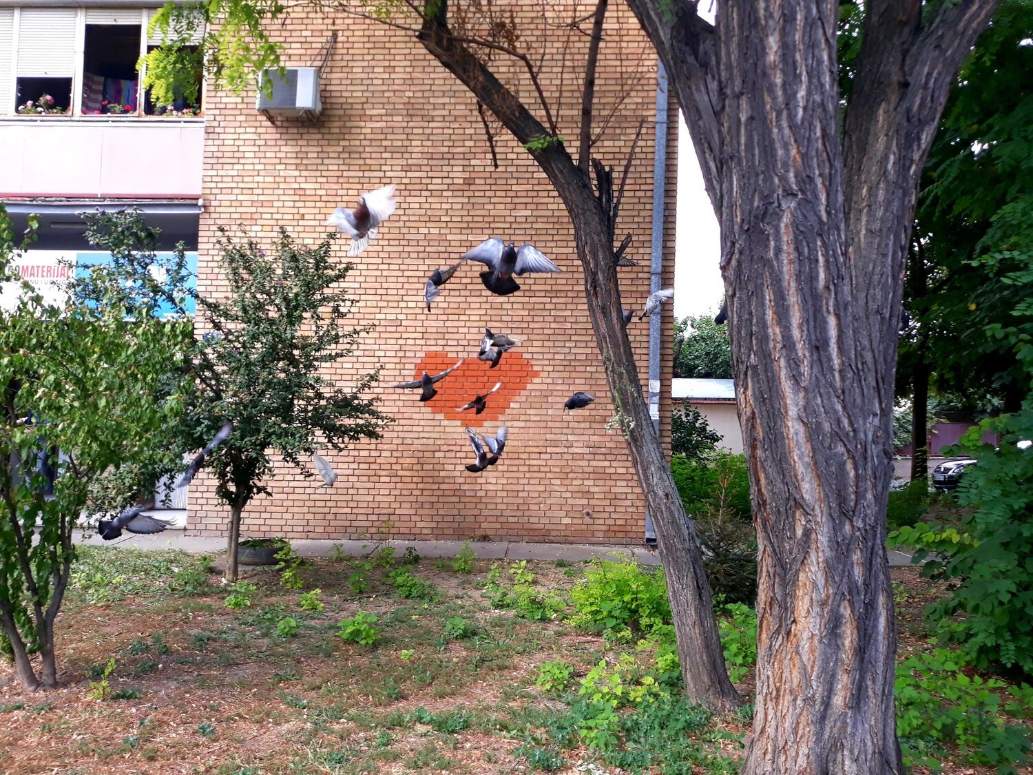 Flight to freedom
