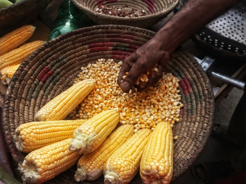 Photograph by Sadaf Saeed