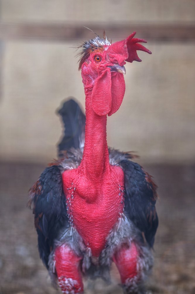 Photograph by Мария Самохина