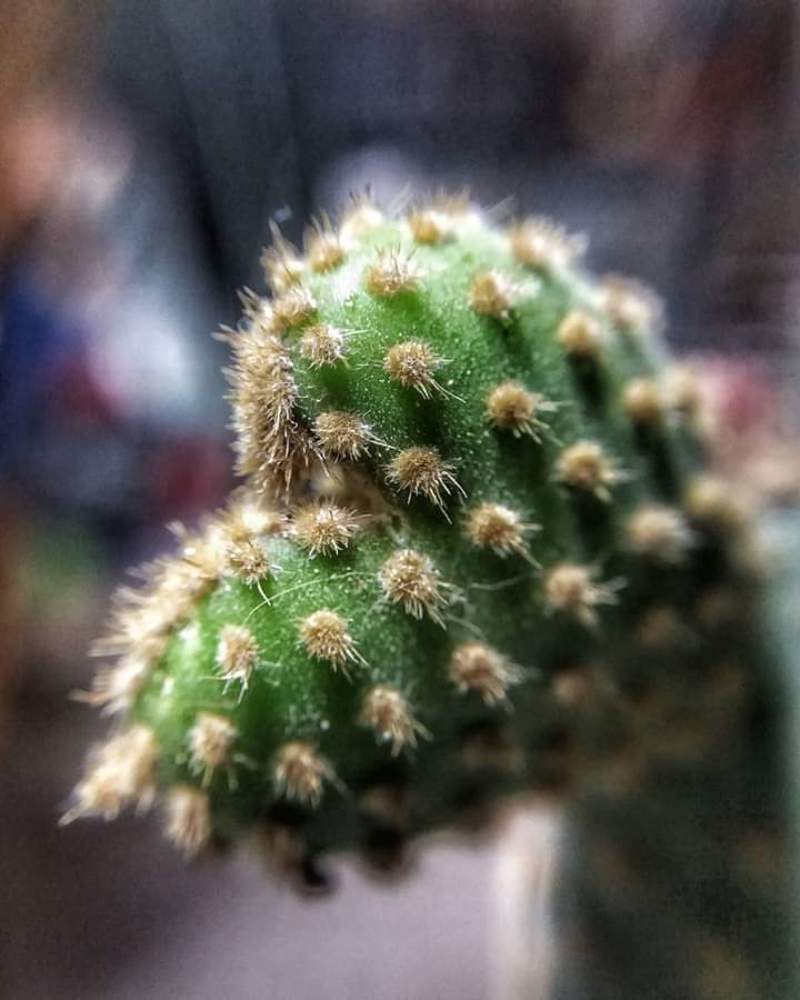 Photograph by Sadaf Saeed