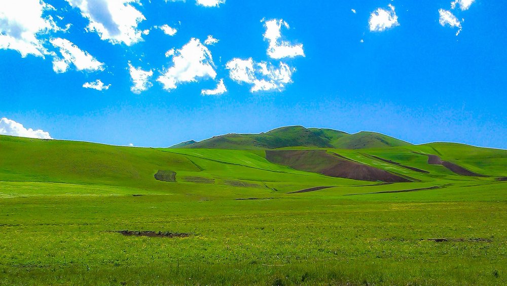 Фотография автора Alipour mohammad