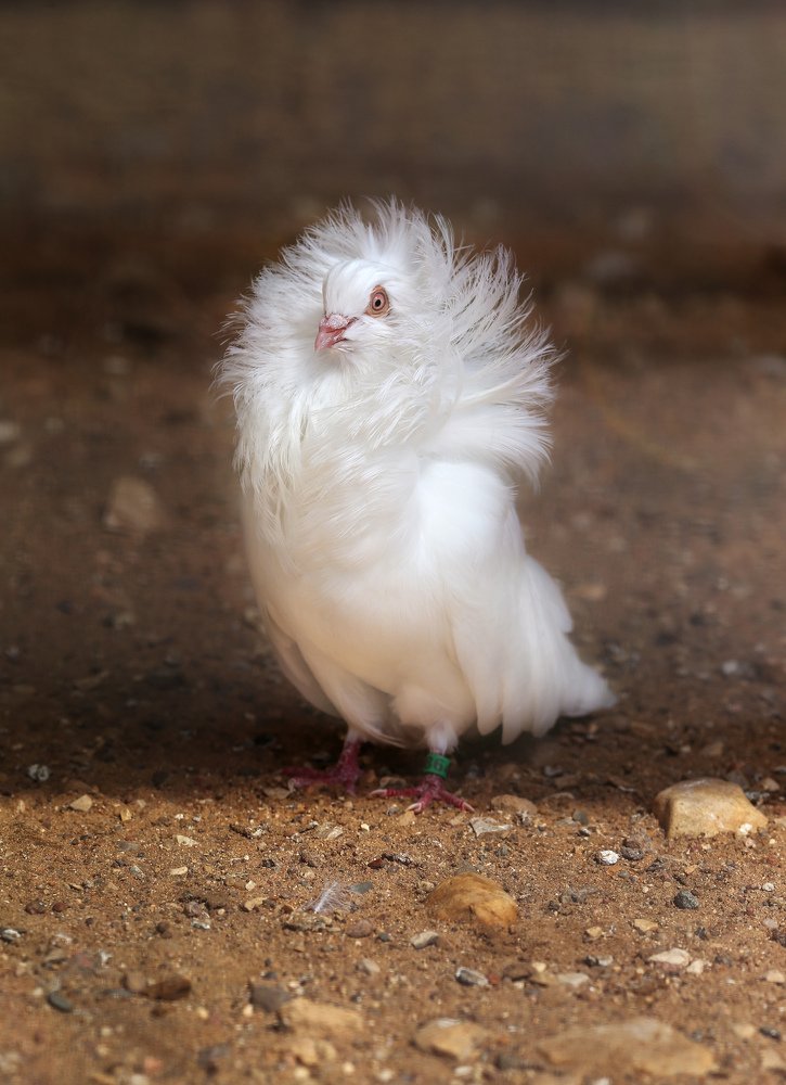 Photograph by Мария Самохина