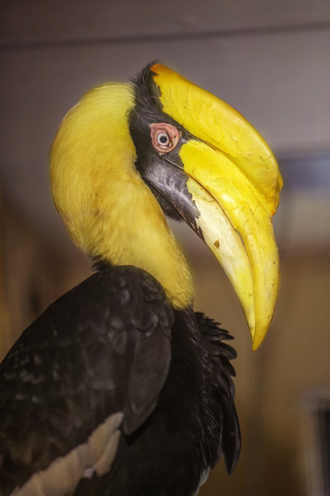 Photograph by Мария Самохина