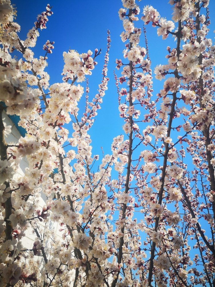 Фотография автора елена