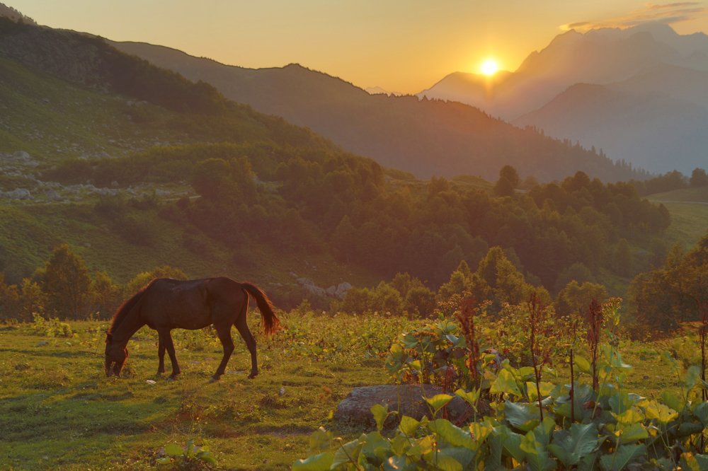 Photograph by Дарья Юсарева