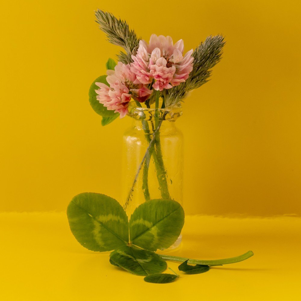 Photograph by Evgeniia Iakimenko