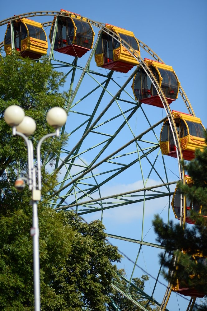 Дотянуться до неба