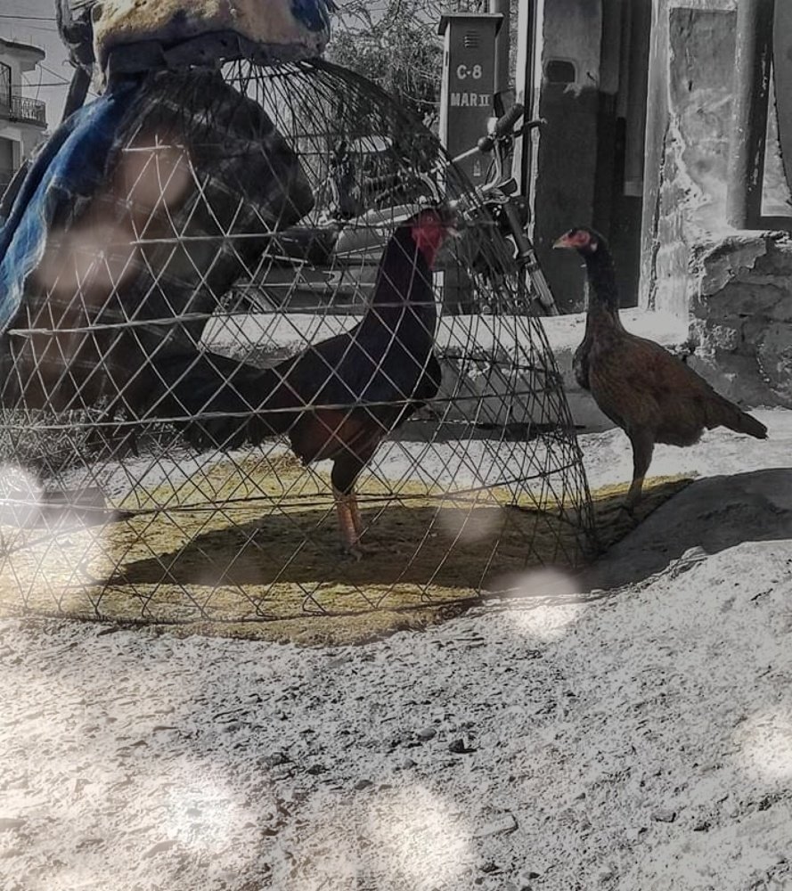 Photograph by Sadaf Saeed