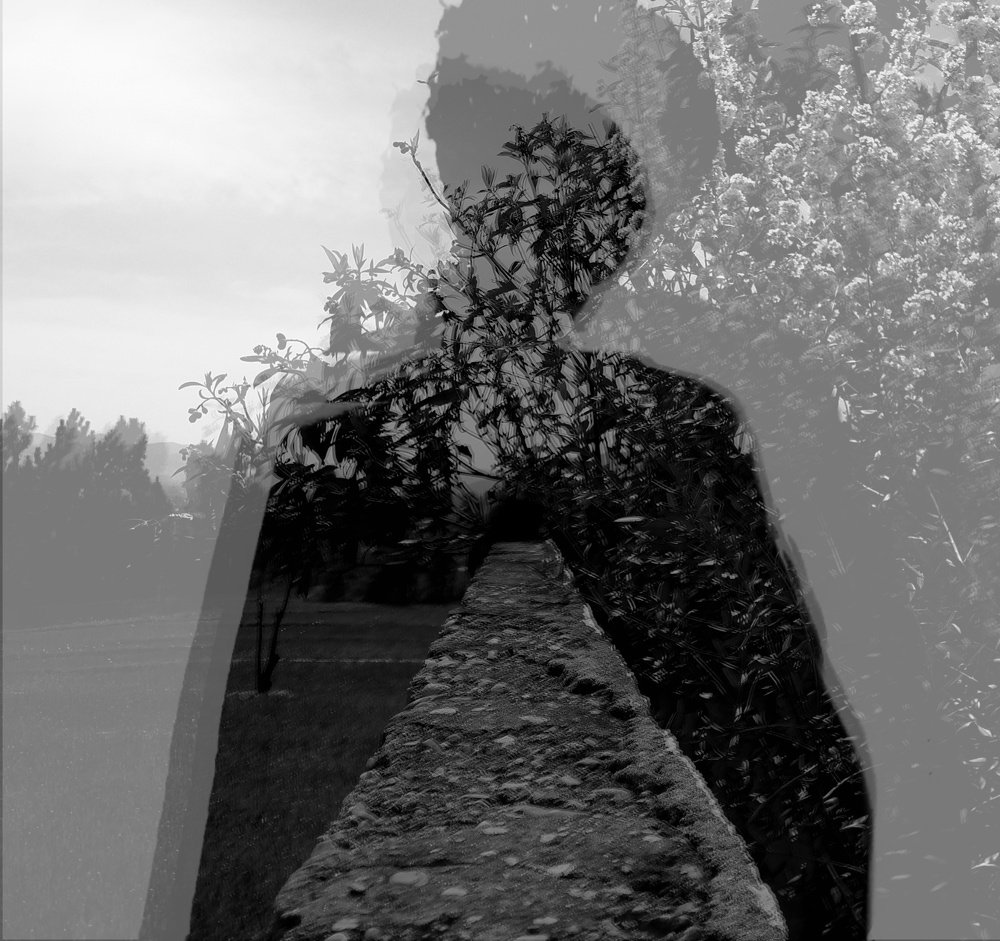 Photograph by Sadaf Saeed