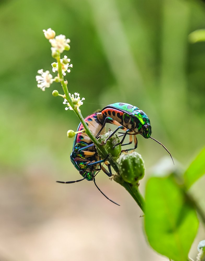 Photograph by Abhishek Manna