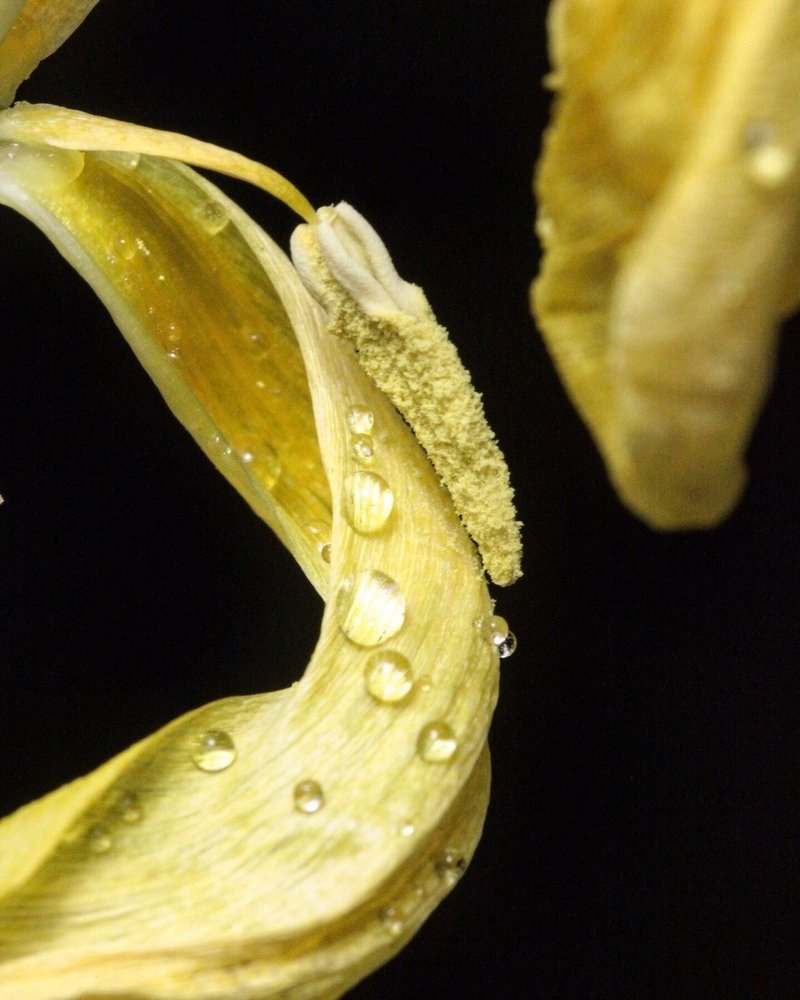 Photograph by Ангелина Журавлева