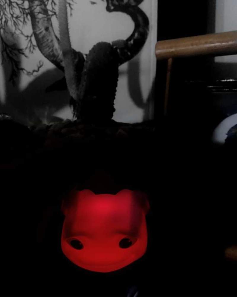 Photograph by Sadaf Saeed