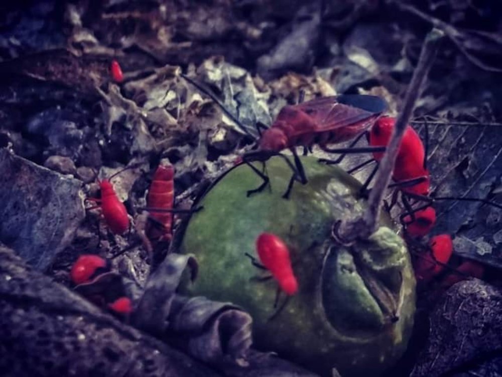 Photograph by Sadaf Saeed