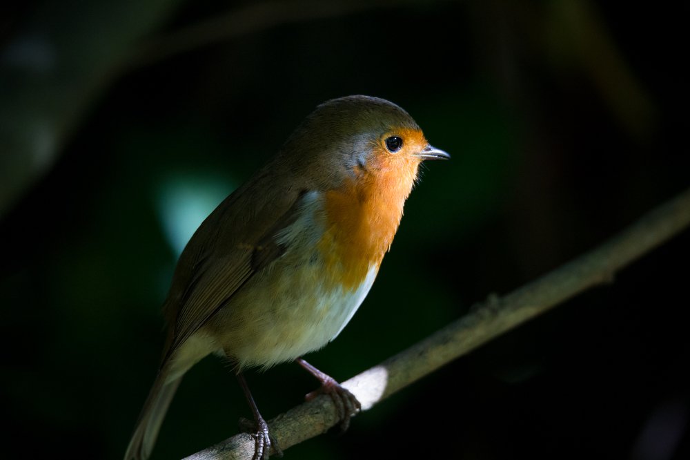 Photograph by Marcin Mirek