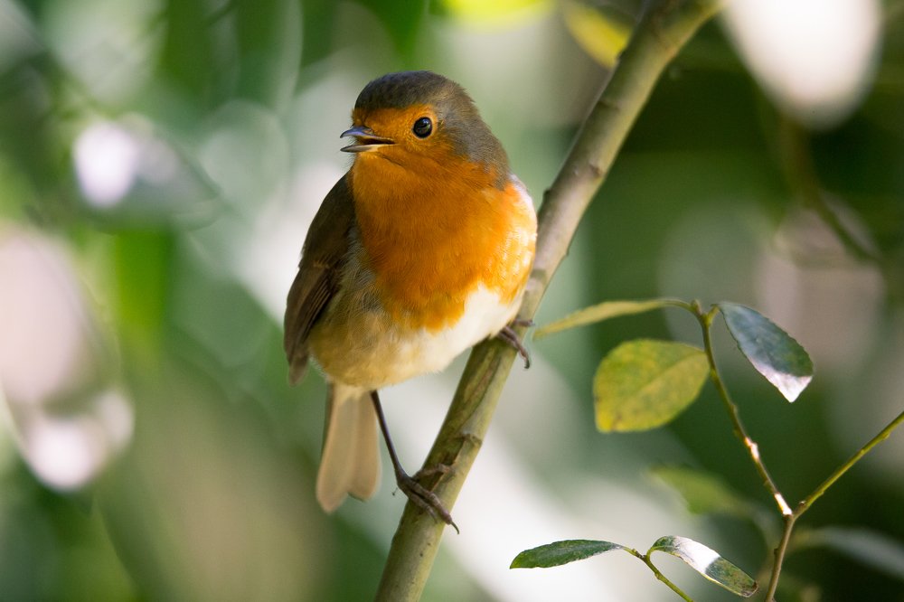 Photograph by Marcin Mirek