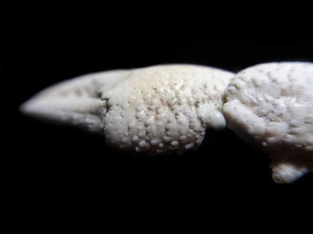 Photograph by Sadaf Saeed