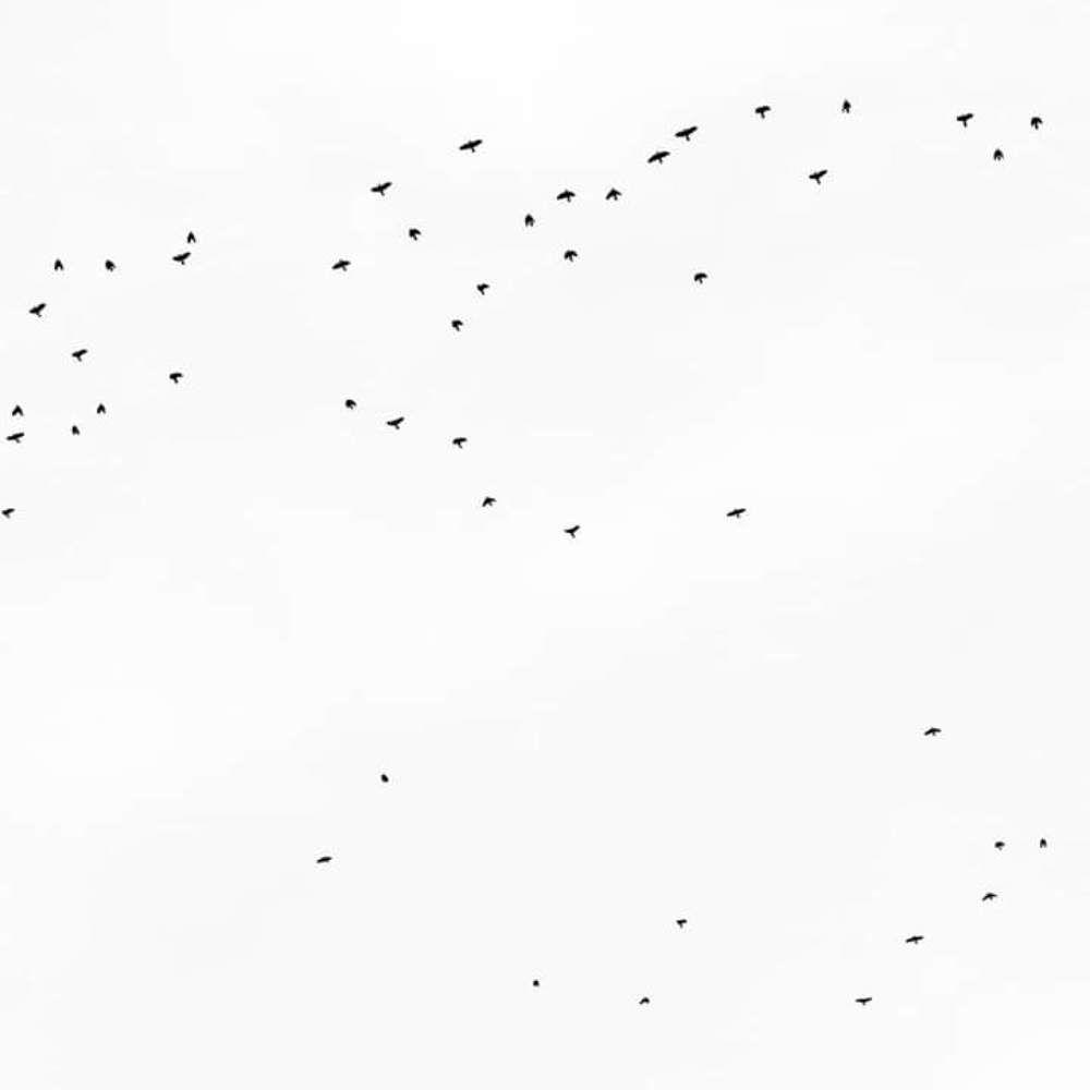 Photograph by Sadaf Saeed