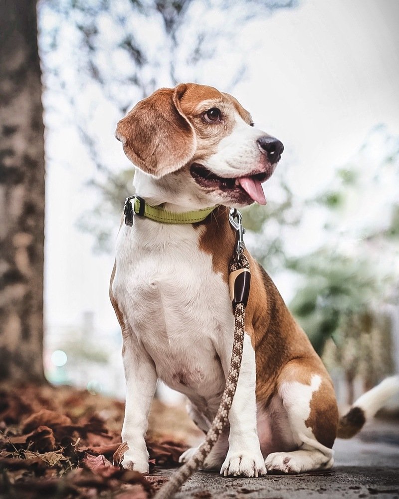 Photograph by Елена Цырюк