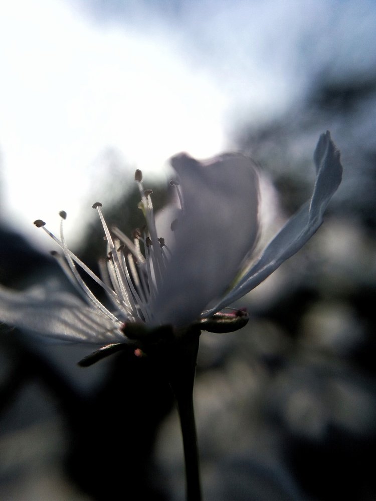 Photograph by Sadaf Saeed